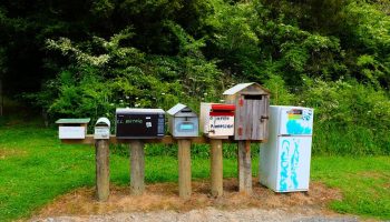 Letterboxes-on-the-Twin-Coast-Cycle-Trail.-Photo-Shandelle-Battersby