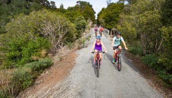 Twin Coast Cycle Trail-4